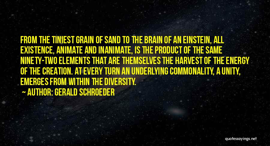 Gerald Schroeder Quotes: From The Tiniest Grain Of Sand To The Brain Of An Einstein, All Existence, Animate And Inanimate, Is The Product