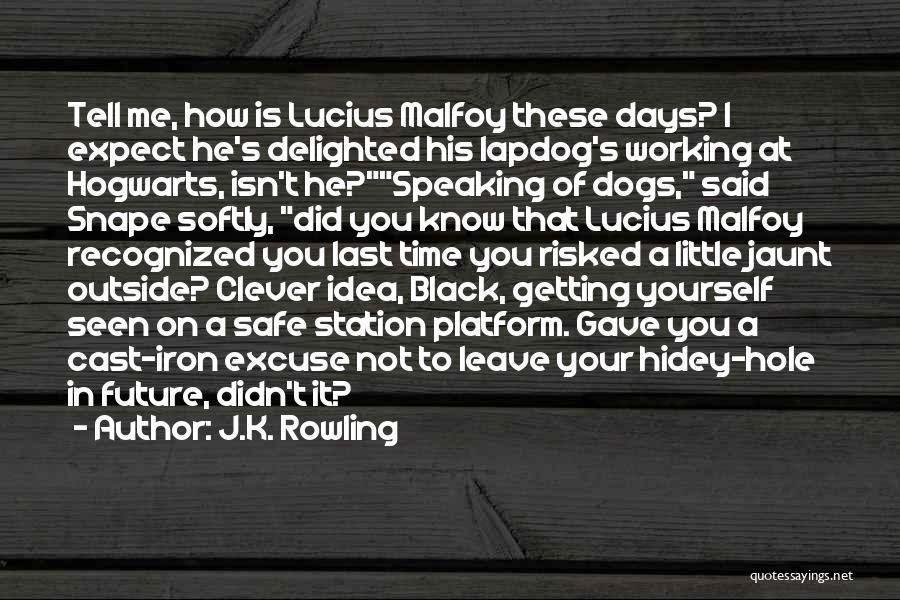 J.K. Rowling Quotes: Tell Me, How Is Lucius Malfoy These Days? I Expect He's Delighted His Lapdog's Working At Hogwarts, Isn't He?speaking Of