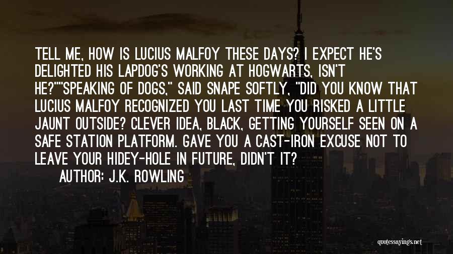 J.K. Rowling Quotes: Tell Me, How Is Lucius Malfoy These Days? I Expect He's Delighted His Lapdog's Working At Hogwarts, Isn't He?speaking Of