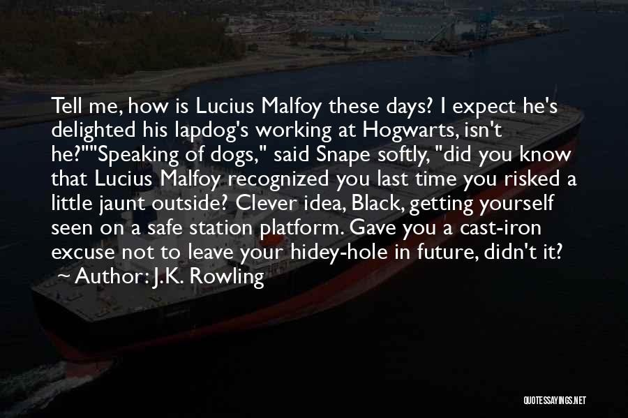 J.K. Rowling Quotes: Tell Me, How Is Lucius Malfoy These Days? I Expect He's Delighted His Lapdog's Working At Hogwarts, Isn't He?speaking Of