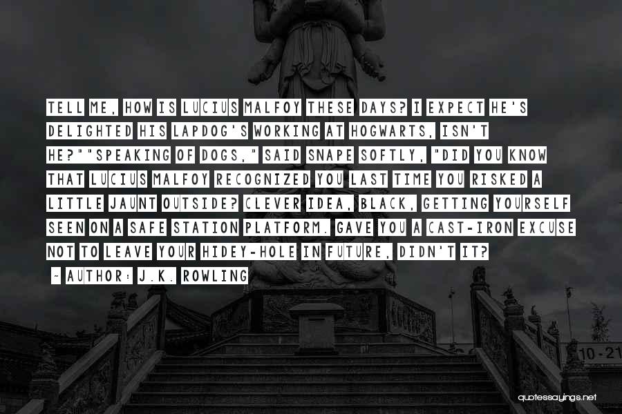 J.K. Rowling Quotes: Tell Me, How Is Lucius Malfoy These Days? I Expect He's Delighted His Lapdog's Working At Hogwarts, Isn't He?speaking Of