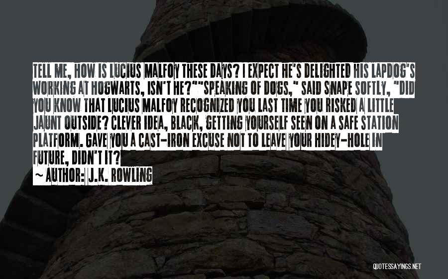 J.K. Rowling Quotes: Tell Me, How Is Lucius Malfoy These Days? I Expect He's Delighted His Lapdog's Working At Hogwarts, Isn't He?speaking Of