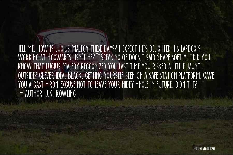 J.K. Rowling Quotes: Tell Me, How Is Lucius Malfoy These Days? I Expect He's Delighted His Lapdog's Working At Hogwarts, Isn't He?speaking Of