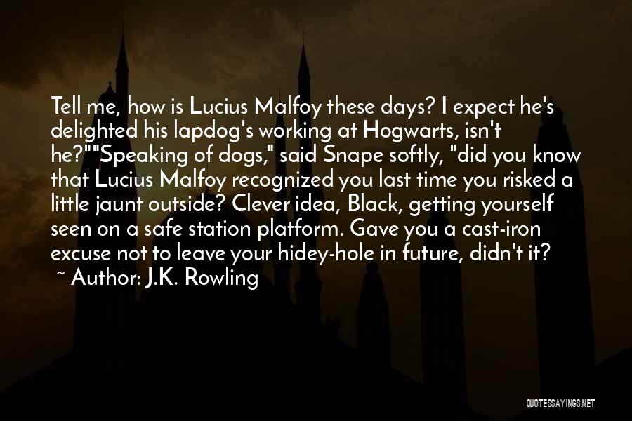 J.K. Rowling Quotes: Tell Me, How Is Lucius Malfoy These Days? I Expect He's Delighted His Lapdog's Working At Hogwarts, Isn't He?speaking Of