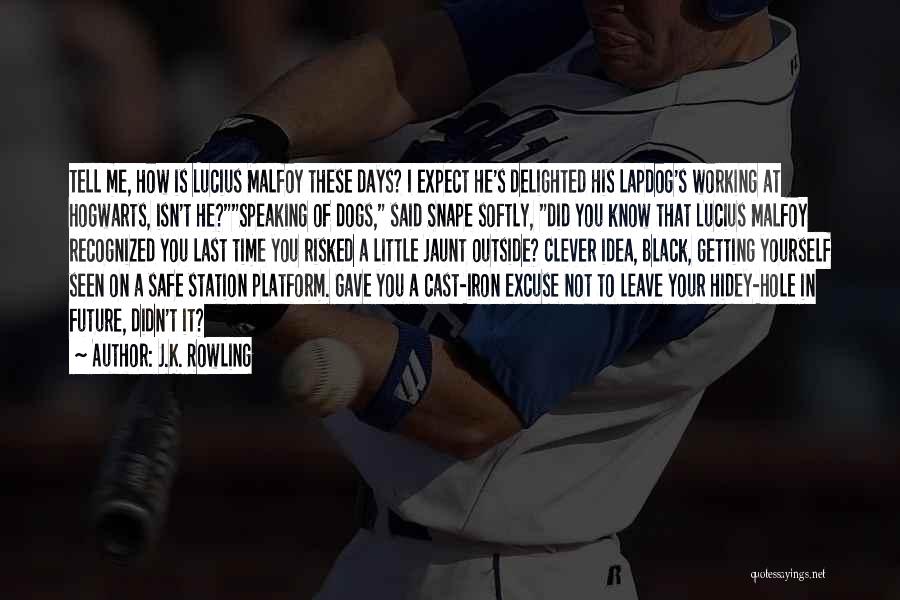 J.K. Rowling Quotes: Tell Me, How Is Lucius Malfoy These Days? I Expect He's Delighted His Lapdog's Working At Hogwarts, Isn't He?speaking Of
