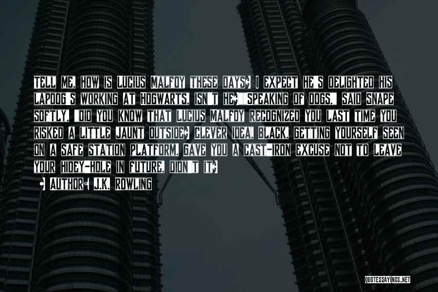 J.K. Rowling Quotes: Tell Me, How Is Lucius Malfoy These Days? I Expect He's Delighted His Lapdog's Working At Hogwarts, Isn't He?speaking Of