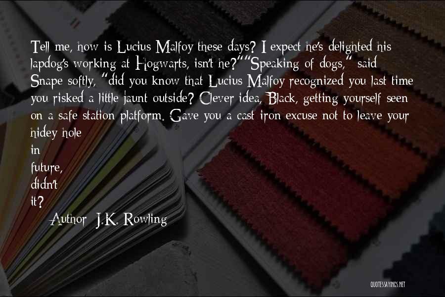 J.K. Rowling Quotes: Tell Me, How Is Lucius Malfoy These Days? I Expect He's Delighted His Lapdog's Working At Hogwarts, Isn't He?speaking Of