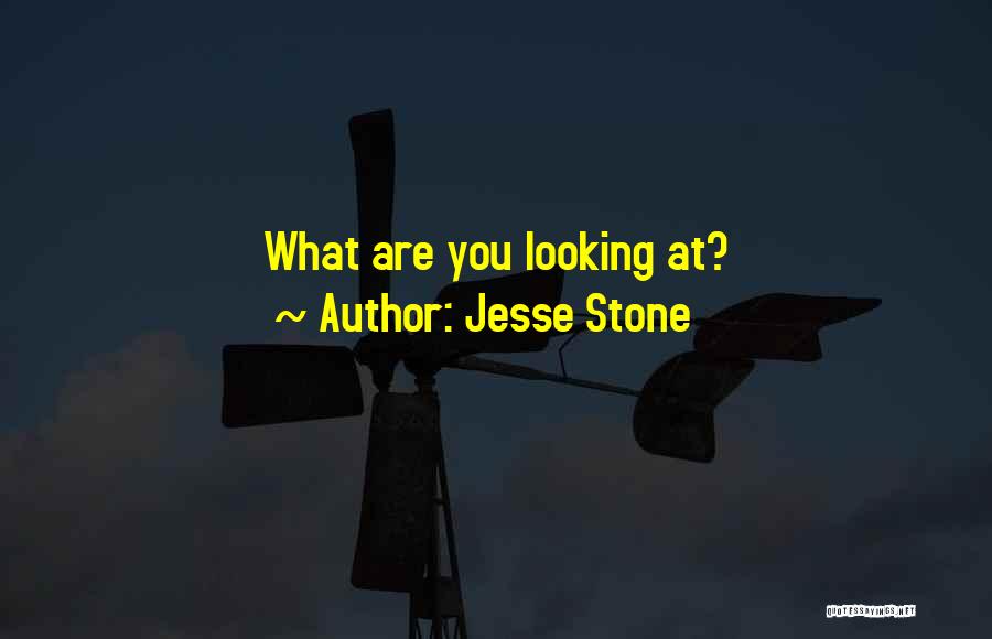 Jesse Stone Quotes: What Are You Looking At?