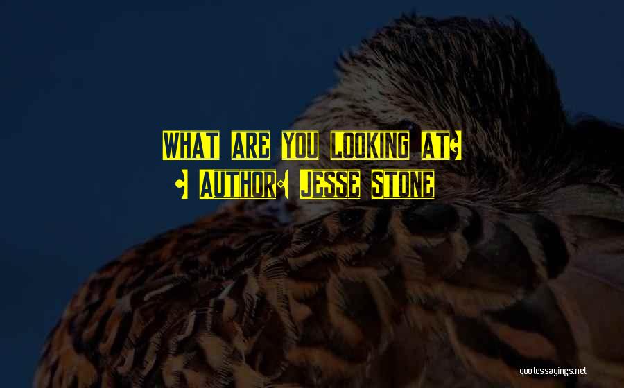 Jesse Stone Quotes: What Are You Looking At?