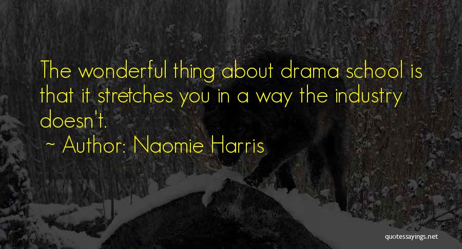 Naomie Harris Quotes: The Wonderful Thing About Drama School Is That It Stretches You In A Way The Industry Doesn't.