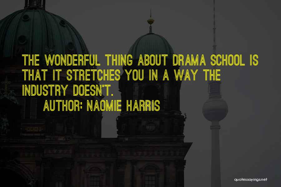 Naomie Harris Quotes: The Wonderful Thing About Drama School Is That It Stretches You In A Way The Industry Doesn't.