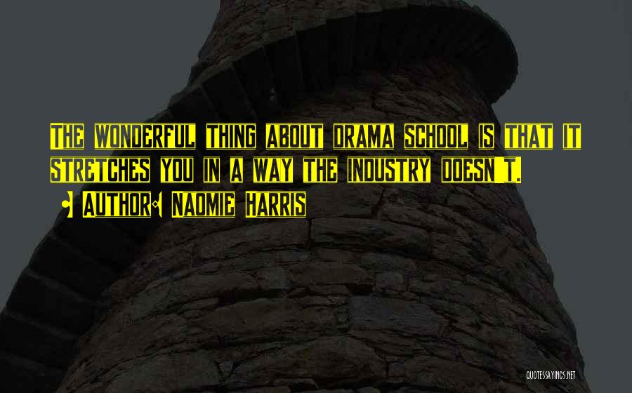 Naomie Harris Quotes: The Wonderful Thing About Drama School Is That It Stretches You In A Way The Industry Doesn't.