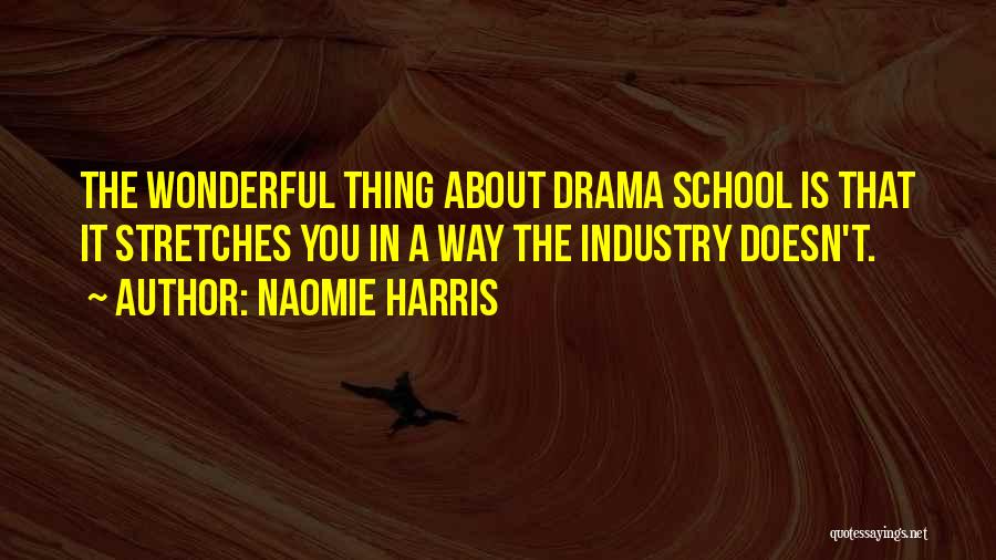 Naomie Harris Quotes: The Wonderful Thing About Drama School Is That It Stretches You In A Way The Industry Doesn't.