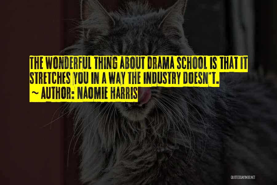 Naomie Harris Quotes: The Wonderful Thing About Drama School Is That It Stretches You In A Way The Industry Doesn't.