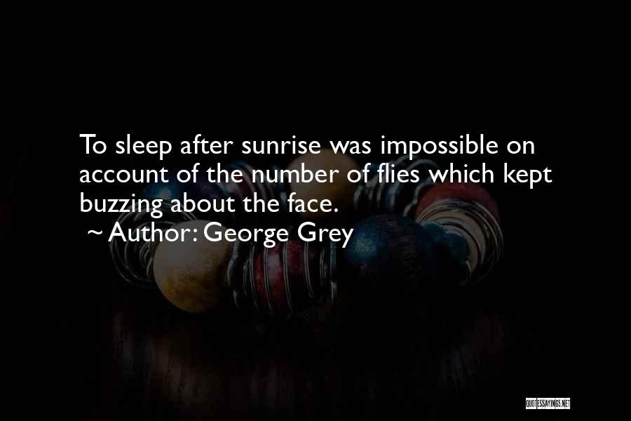 George Grey Quotes: To Sleep After Sunrise Was Impossible On Account Of The Number Of Flies Which Kept Buzzing About The Face.