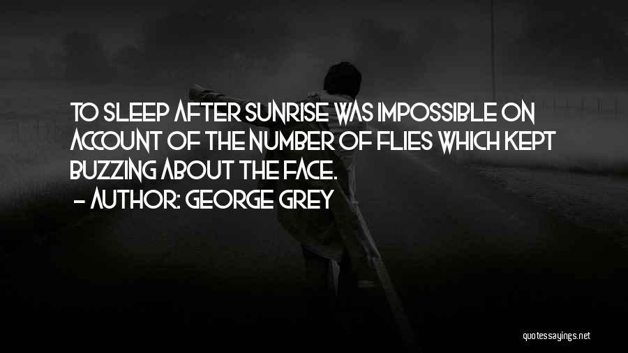 George Grey Quotes: To Sleep After Sunrise Was Impossible On Account Of The Number Of Flies Which Kept Buzzing About The Face.