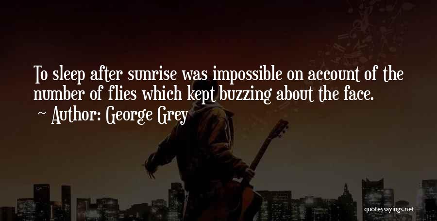 George Grey Quotes: To Sleep After Sunrise Was Impossible On Account Of The Number Of Flies Which Kept Buzzing About The Face.