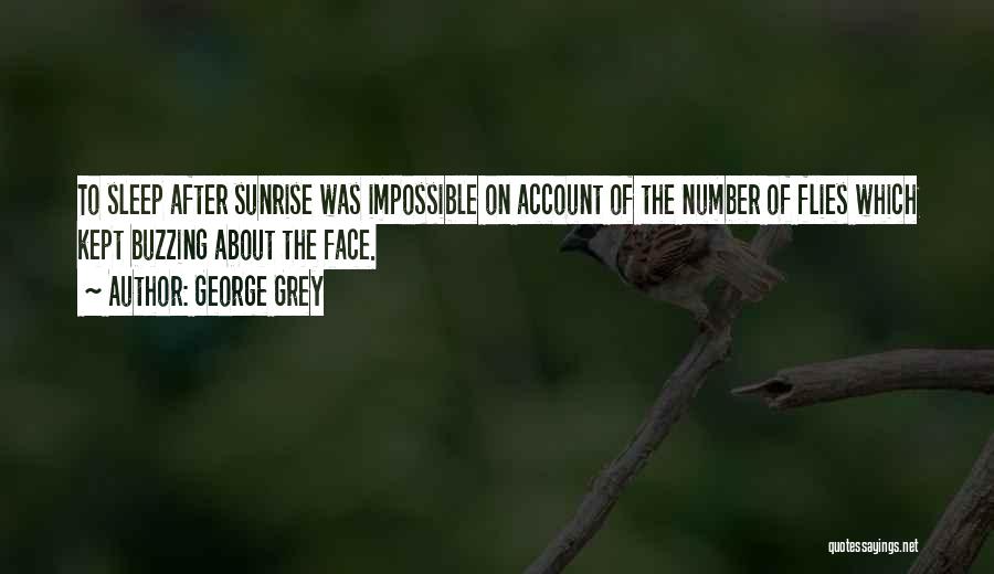 George Grey Quotes: To Sleep After Sunrise Was Impossible On Account Of The Number Of Flies Which Kept Buzzing About The Face.