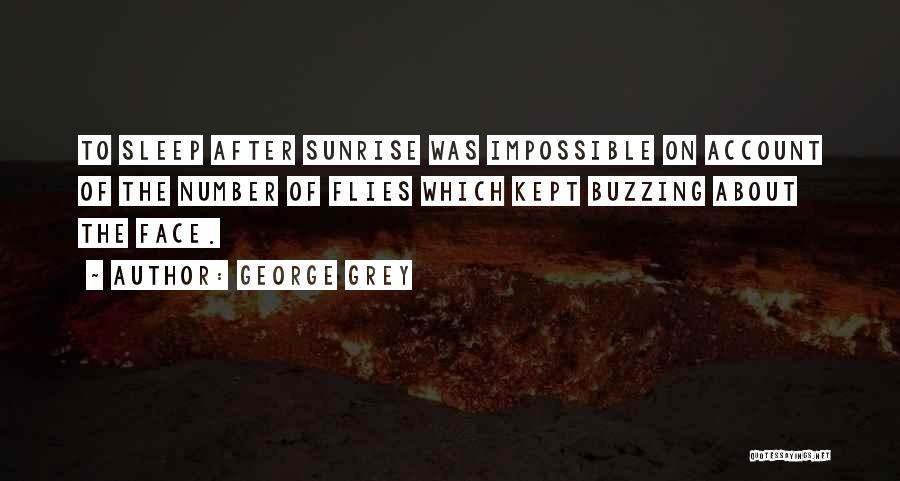 George Grey Quotes: To Sleep After Sunrise Was Impossible On Account Of The Number Of Flies Which Kept Buzzing About The Face.