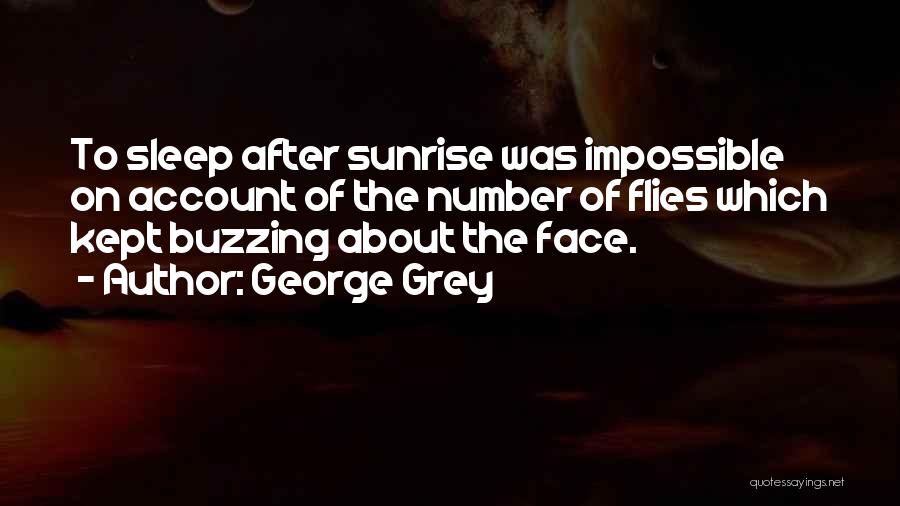 George Grey Quotes: To Sleep After Sunrise Was Impossible On Account Of The Number Of Flies Which Kept Buzzing About The Face.