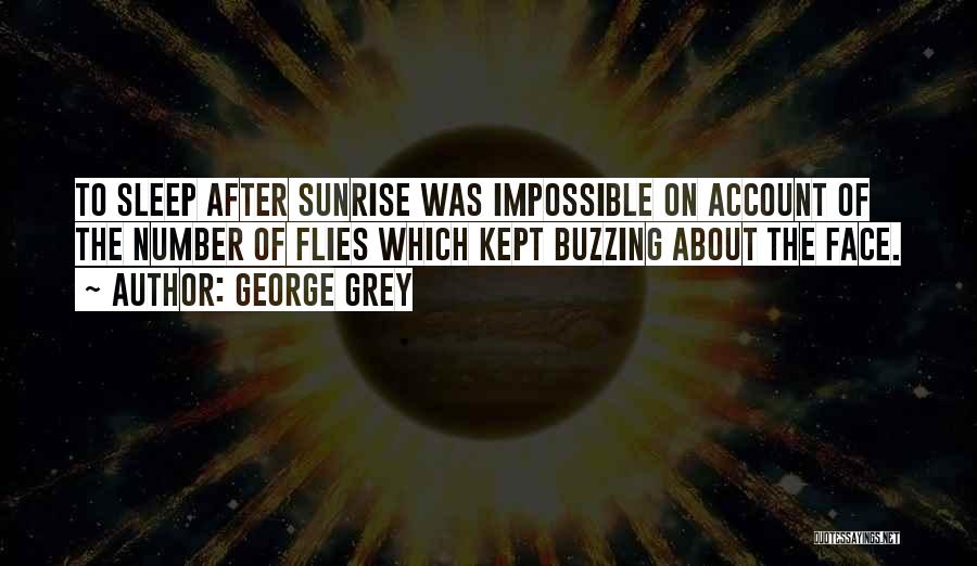 George Grey Quotes: To Sleep After Sunrise Was Impossible On Account Of The Number Of Flies Which Kept Buzzing About The Face.