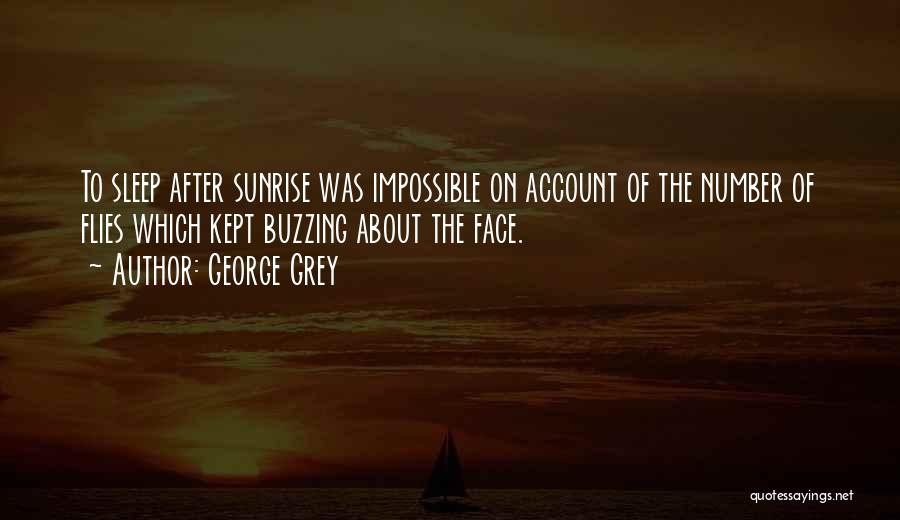 George Grey Quotes: To Sleep After Sunrise Was Impossible On Account Of The Number Of Flies Which Kept Buzzing About The Face.