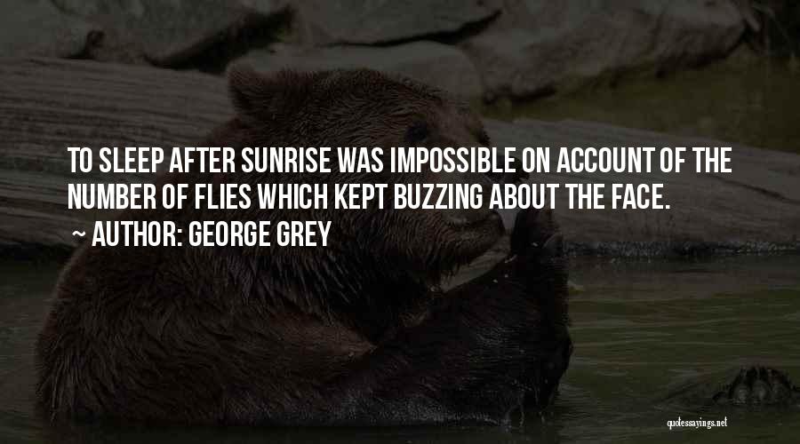 George Grey Quotes: To Sleep After Sunrise Was Impossible On Account Of The Number Of Flies Which Kept Buzzing About The Face.