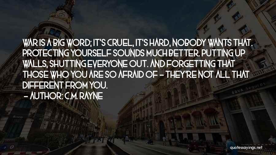 C.M. Rayne Quotes: War Is A Big Word; It's Cruel, It's Hard, Nobody Wants That. Protecting Yourself Sounds Much Better. Putting Up Walls,