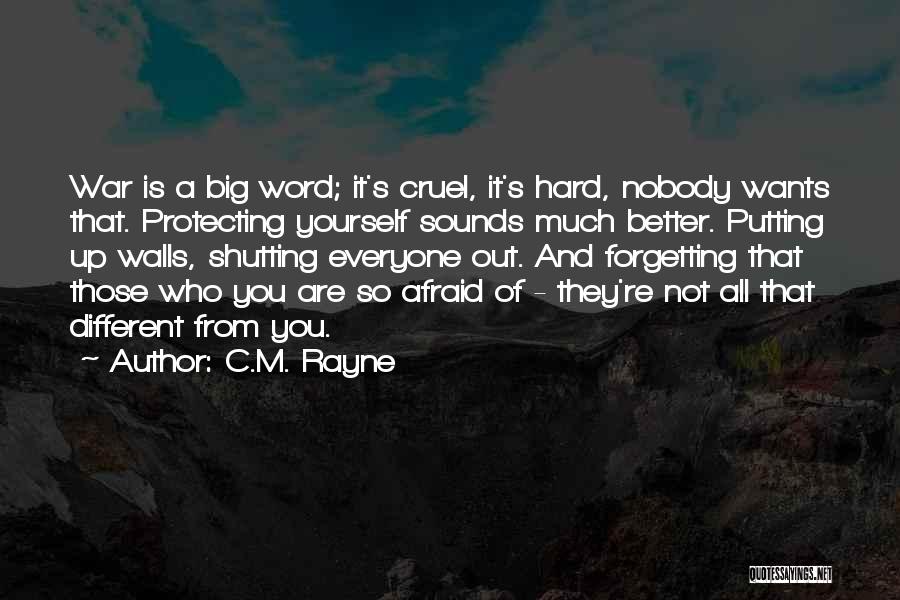 C.M. Rayne Quotes: War Is A Big Word; It's Cruel, It's Hard, Nobody Wants That. Protecting Yourself Sounds Much Better. Putting Up Walls,