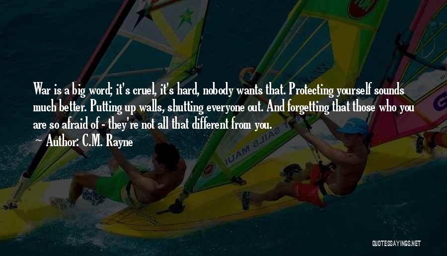 C.M. Rayne Quotes: War Is A Big Word; It's Cruel, It's Hard, Nobody Wants That. Protecting Yourself Sounds Much Better. Putting Up Walls,