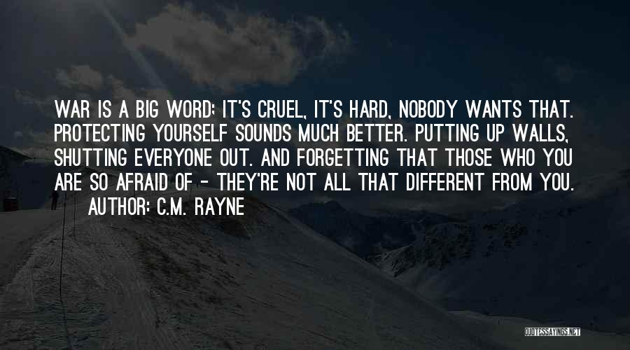 C.M. Rayne Quotes: War Is A Big Word; It's Cruel, It's Hard, Nobody Wants That. Protecting Yourself Sounds Much Better. Putting Up Walls,