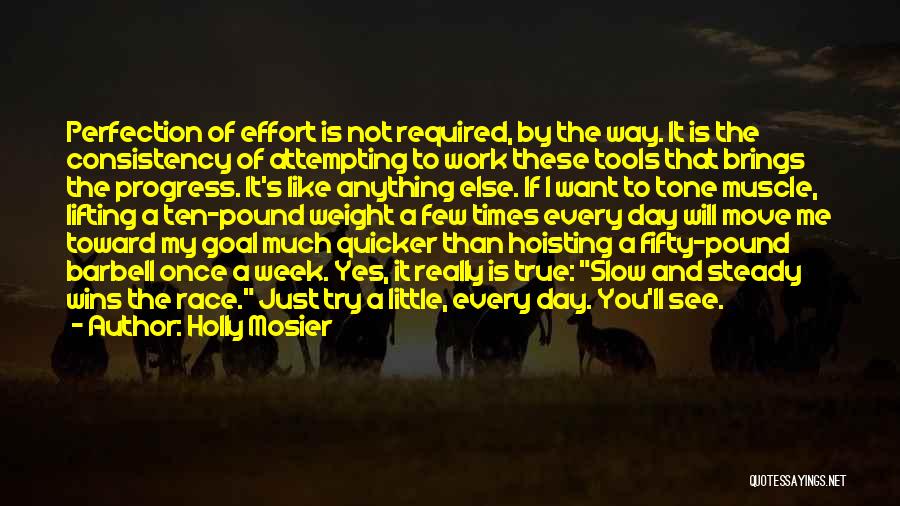 Holly Mosier Quotes: Perfection Of Effort Is Not Required, By The Way. It Is The Consistency Of Attempting To Work These Tools That