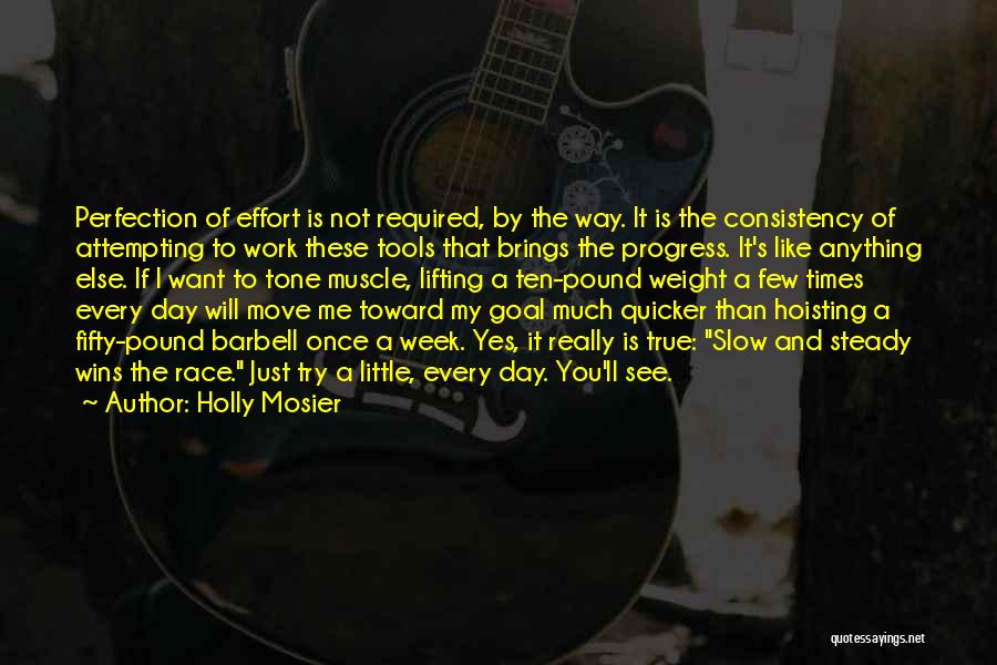 Holly Mosier Quotes: Perfection Of Effort Is Not Required, By The Way. It Is The Consistency Of Attempting To Work These Tools That