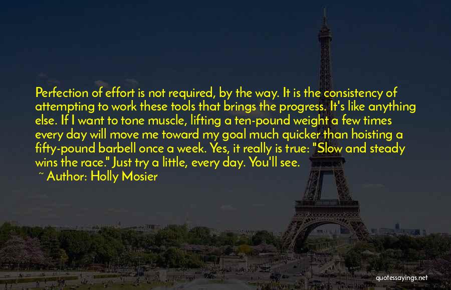Holly Mosier Quotes: Perfection Of Effort Is Not Required, By The Way. It Is The Consistency Of Attempting To Work These Tools That