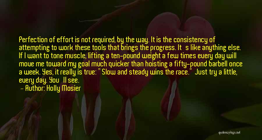 Holly Mosier Quotes: Perfection Of Effort Is Not Required, By The Way. It Is The Consistency Of Attempting To Work These Tools That