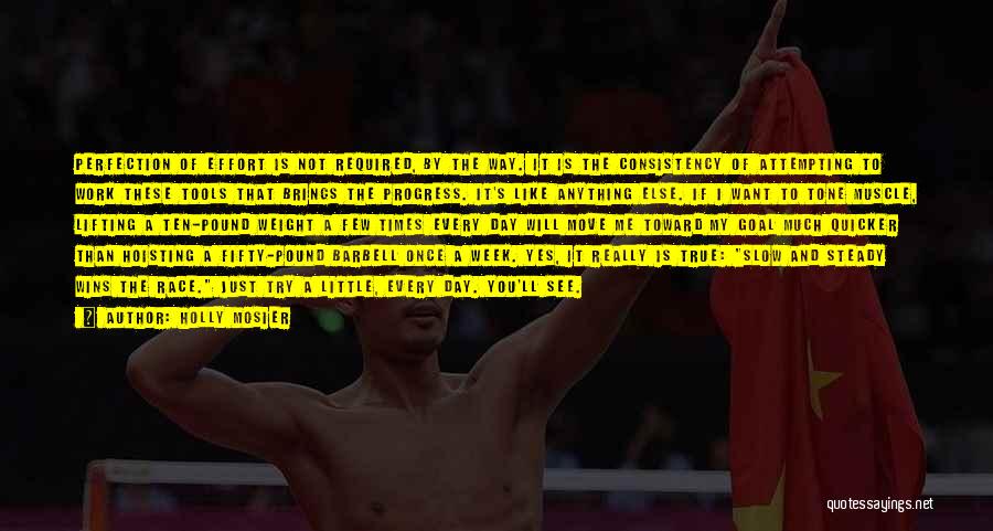 Holly Mosier Quotes: Perfection Of Effort Is Not Required, By The Way. It Is The Consistency Of Attempting To Work These Tools That