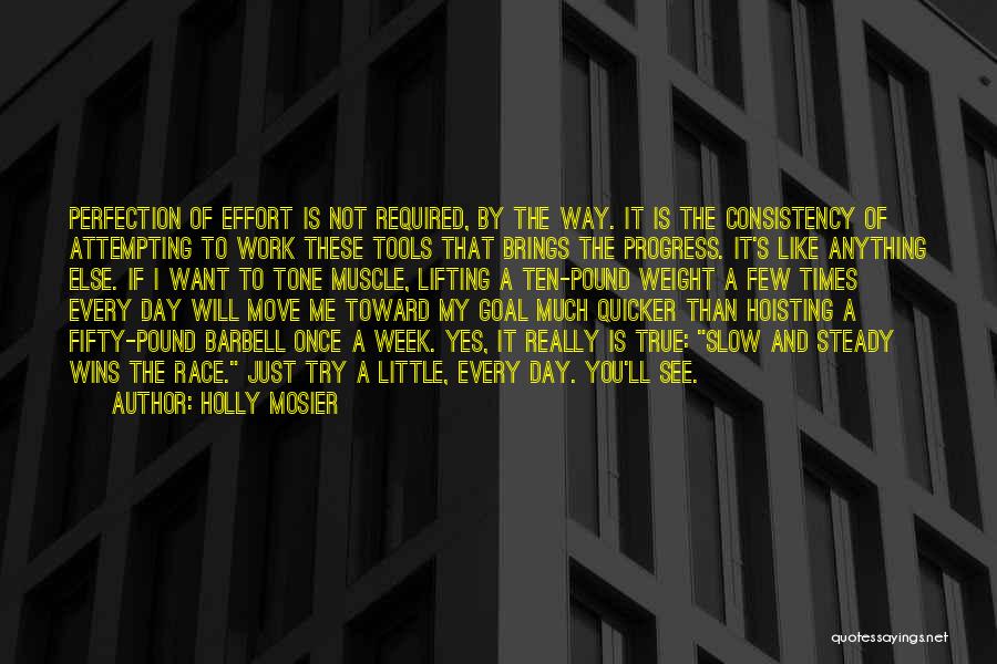 Holly Mosier Quotes: Perfection Of Effort Is Not Required, By The Way. It Is The Consistency Of Attempting To Work These Tools That