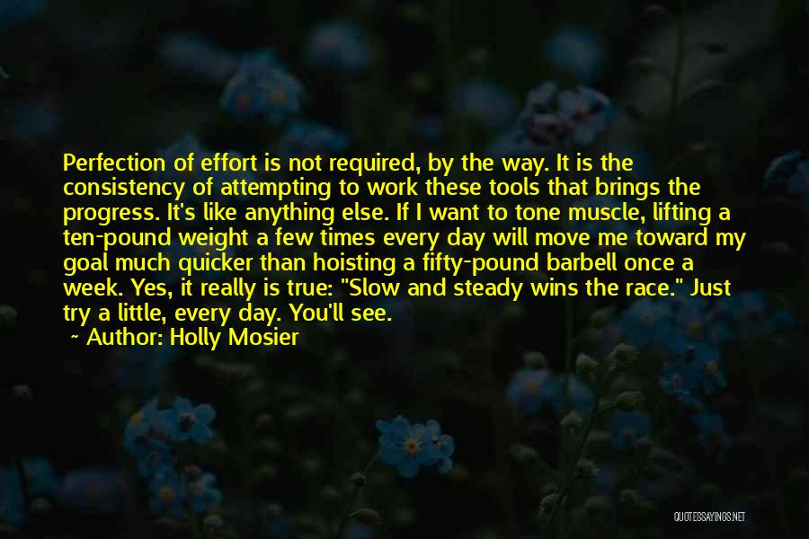 Holly Mosier Quotes: Perfection Of Effort Is Not Required, By The Way. It Is The Consistency Of Attempting To Work These Tools That