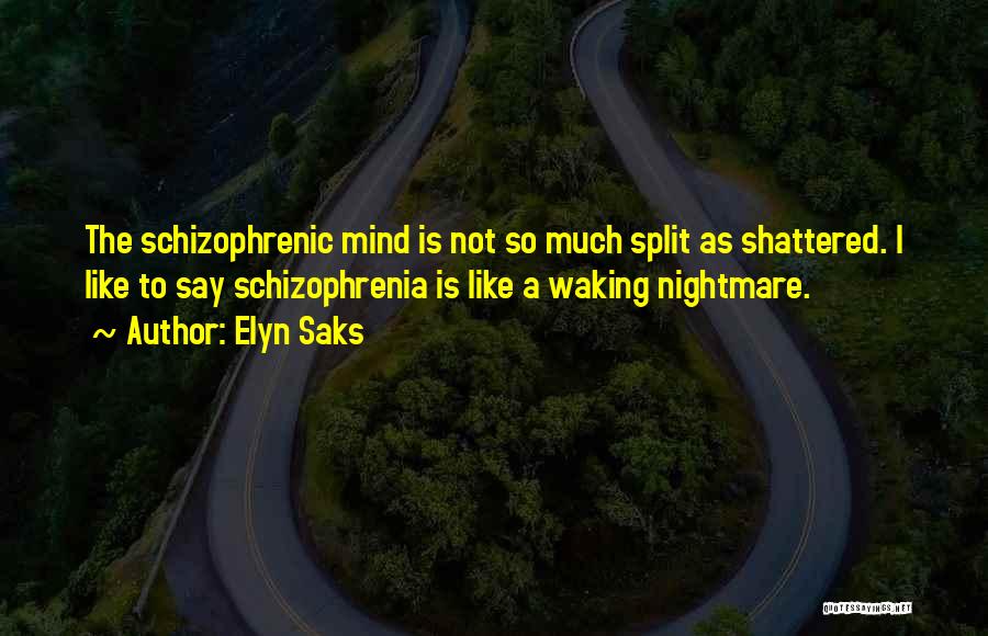 Elyn Saks Quotes: The Schizophrenic Mind Is Not So Much Split As Shattered. I Like To Say Schizophrenia Is Like A Waking Nightmare.