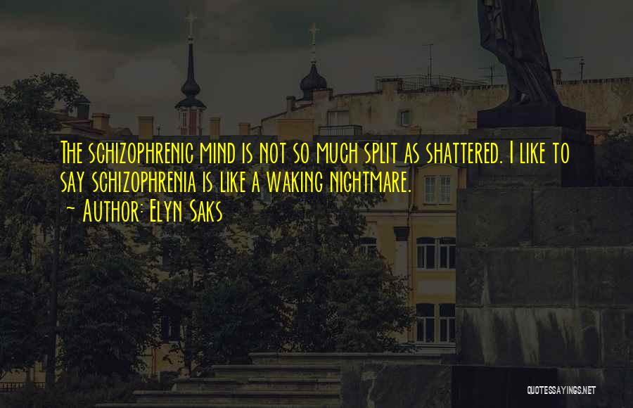 Elyn Saks Quotes: The Schizophrenic Mind Is Not So Much Split As Shattered. I Like To Say Schizophrenia Is Like A Waking Nightmare.