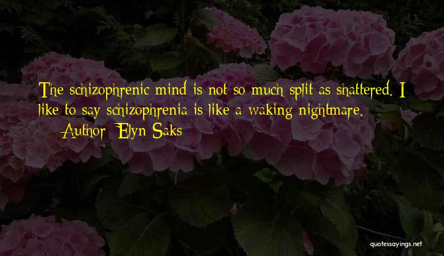 Elyn Saks Quotes: The Schizophrenic Mind Is Not So Much Split As Shattered. I Like To Say Schizophrenia Is Like A Waking Nightmare.