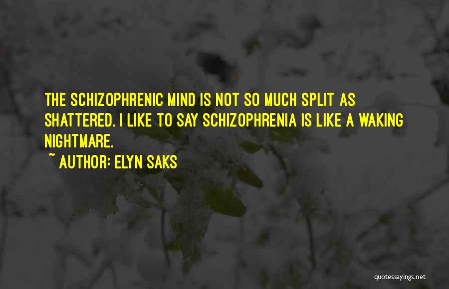 Elyn Saks Quotes: The Schizophrenic Mind Is Not So Much Split As Shattered. I Like To Say Schizophrenia Is Like A Waking Nightmare.