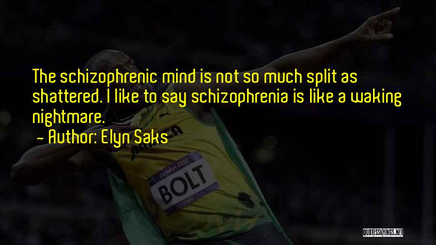 Elyn Saks Quotes: The Schizophrenic Mind Is Not So Much Split As Shattered. I Like To Say Schizophrenia Is Like A Waking Nightmare.