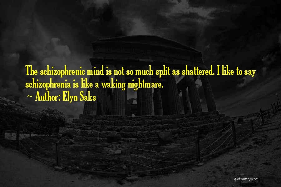 Elyn Saks Quotes: The Schizophrenic Mind Is Not So Much Split As Shattered. I Like To Say Schizophrenia Is Like A Waking Nightmare.