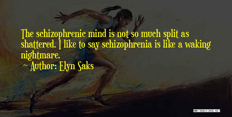 Elyn Saks Quotes: The Schizophrenic Mind Is Not So Much Split As Shattered. I Like To Say Schizophrenia Is Like A Waking Nightmare.