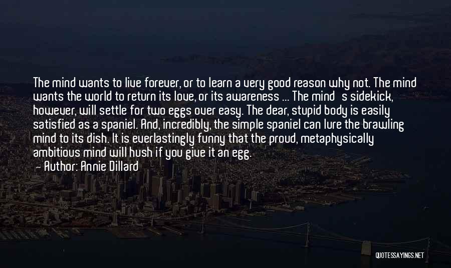 Annie Dillard Quotes: The Mind Wants To Live Forever, Or To Learn A Very Good Reason Why Not. The Mind Wants The World