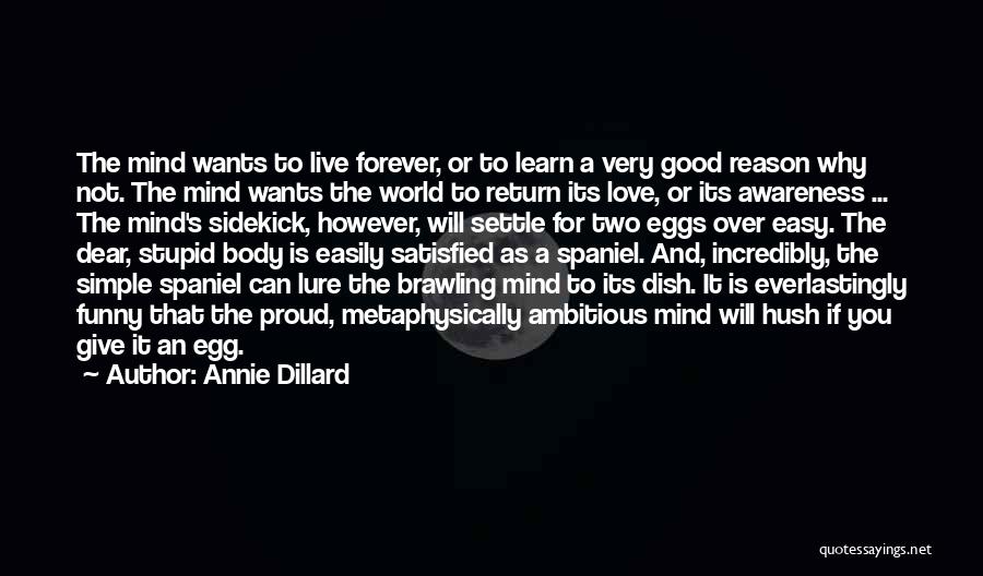 Annie Dillard Quotes: The Mind Wants To Live Forever, Or To Learn A Very Good Reason Why Not. The Mind Wants The World