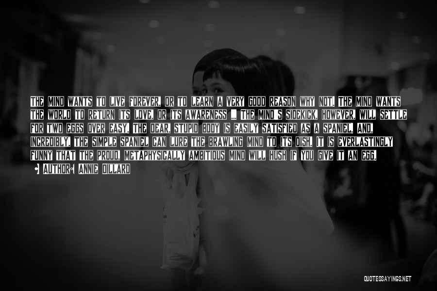Annie Dillard Quotes: The Mind Wants To Live Forever, Or To Learn A Very Good Reason Why Not. The Mind Wants The World