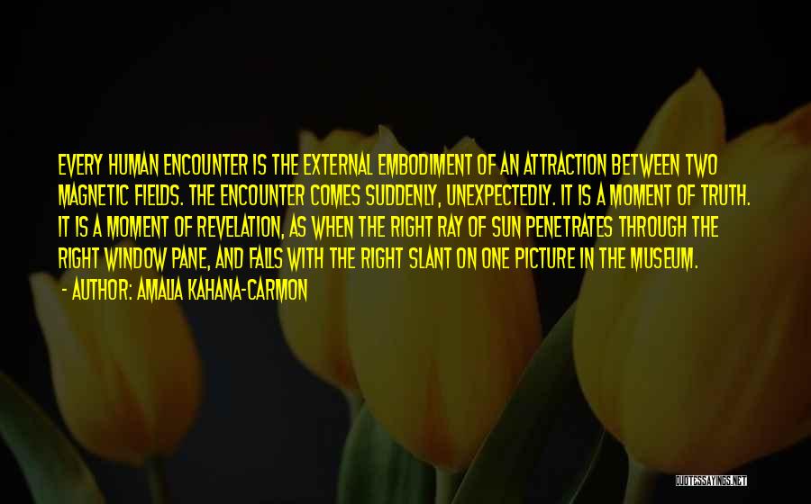 Amalia Kahana-Carmon Quotes: Every Human Encounter Is The External Embodiment Of An Attraction Between Two Magnetic Fields. The Encounter Comes Suddenly, Unexpectedly. It