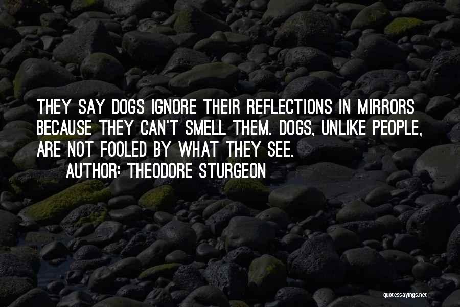 Theodore Sturgeon Quotes: They Say Dogs Ignore Their Reflections In Mirrors Because They Can't Smell Them. Dogs, Unlike People, Are Not Fooled By